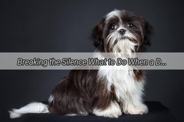 Breaking the Silence What to Do When a Driver Intentionally Hits a Dog with a Car